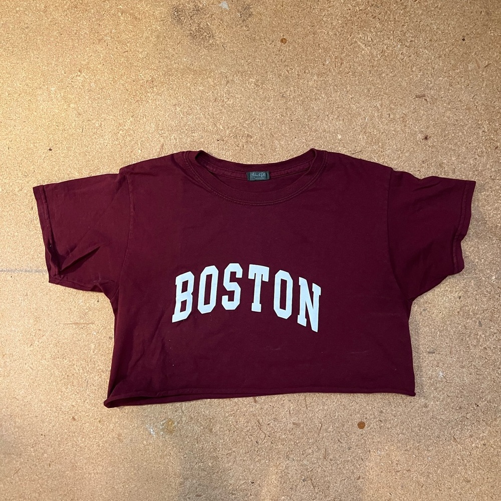 Brandy Melville Boston Crop Top